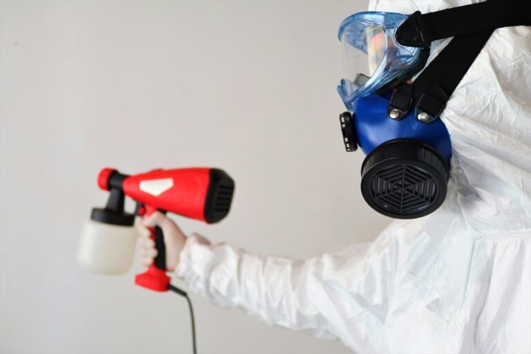 remove and disinfect mold growth