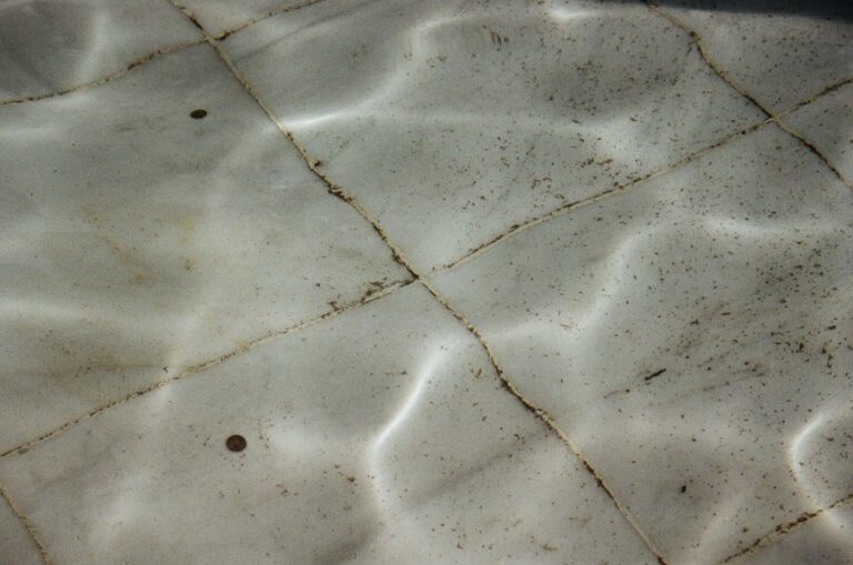 remove mold from grout