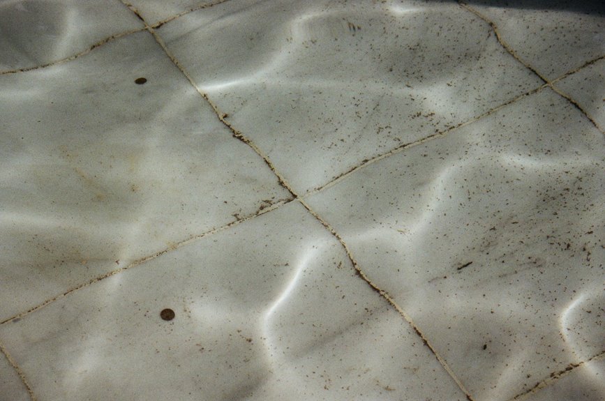 remove mold from grout